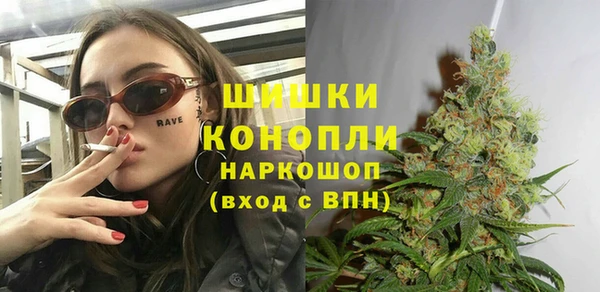 ГАЛЛЮЦИНОГЕННЫЕ ГРИБЫ Покров