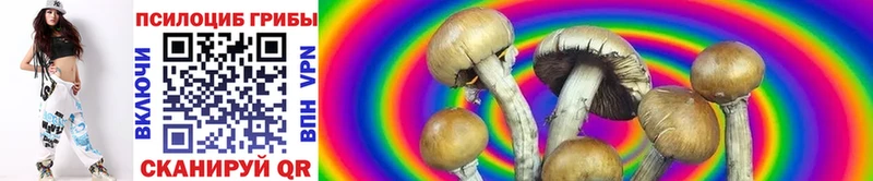 даркнет телеграм  Борзя  Галлюциногенные грибы MAGIC MUSHROOMS 